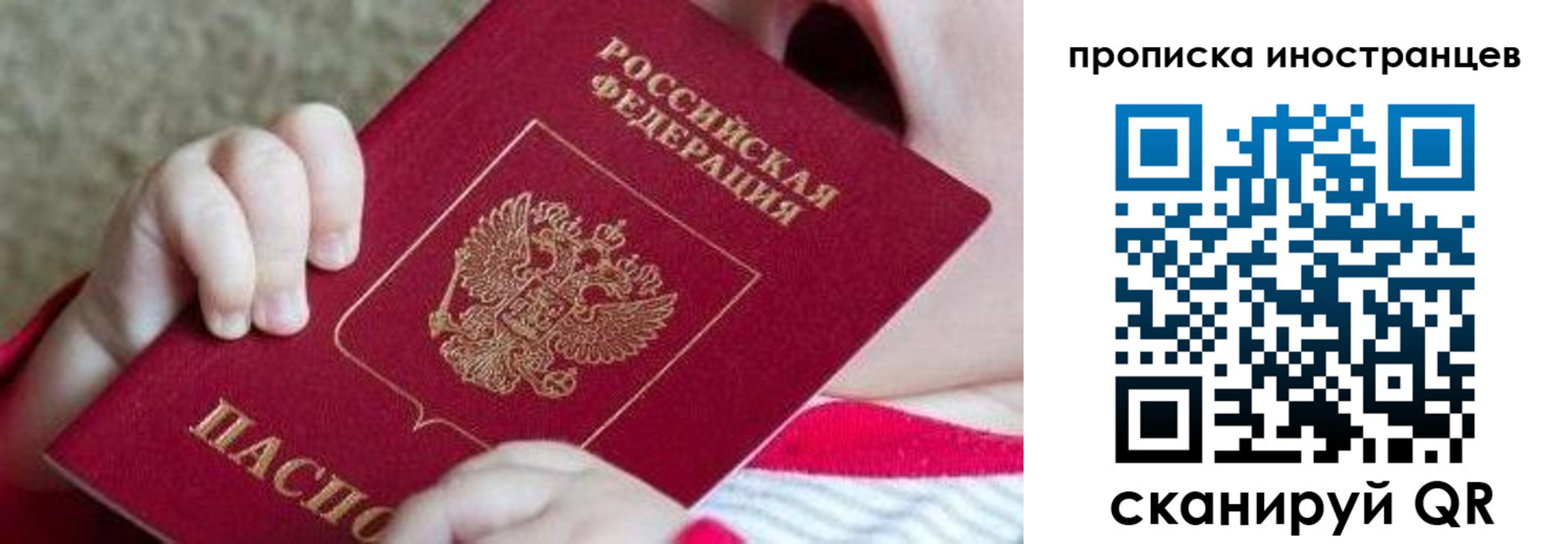 временная регистрация поиск в Курчатове